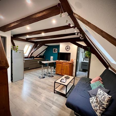 Gite Du Figuier 4 A 6 Personnes Selestat Centre-Alsace Exteriér fotografie