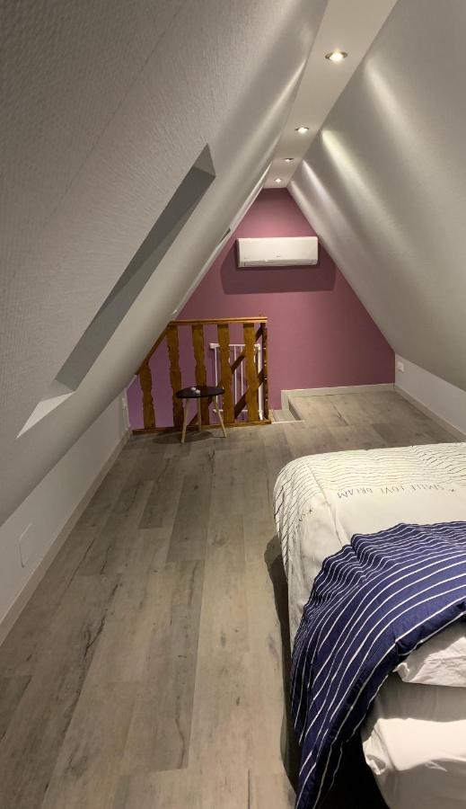 Gite Du Figuier 4 A 6 Personnes Selestat Centre-Alsace Exteriér fotografie