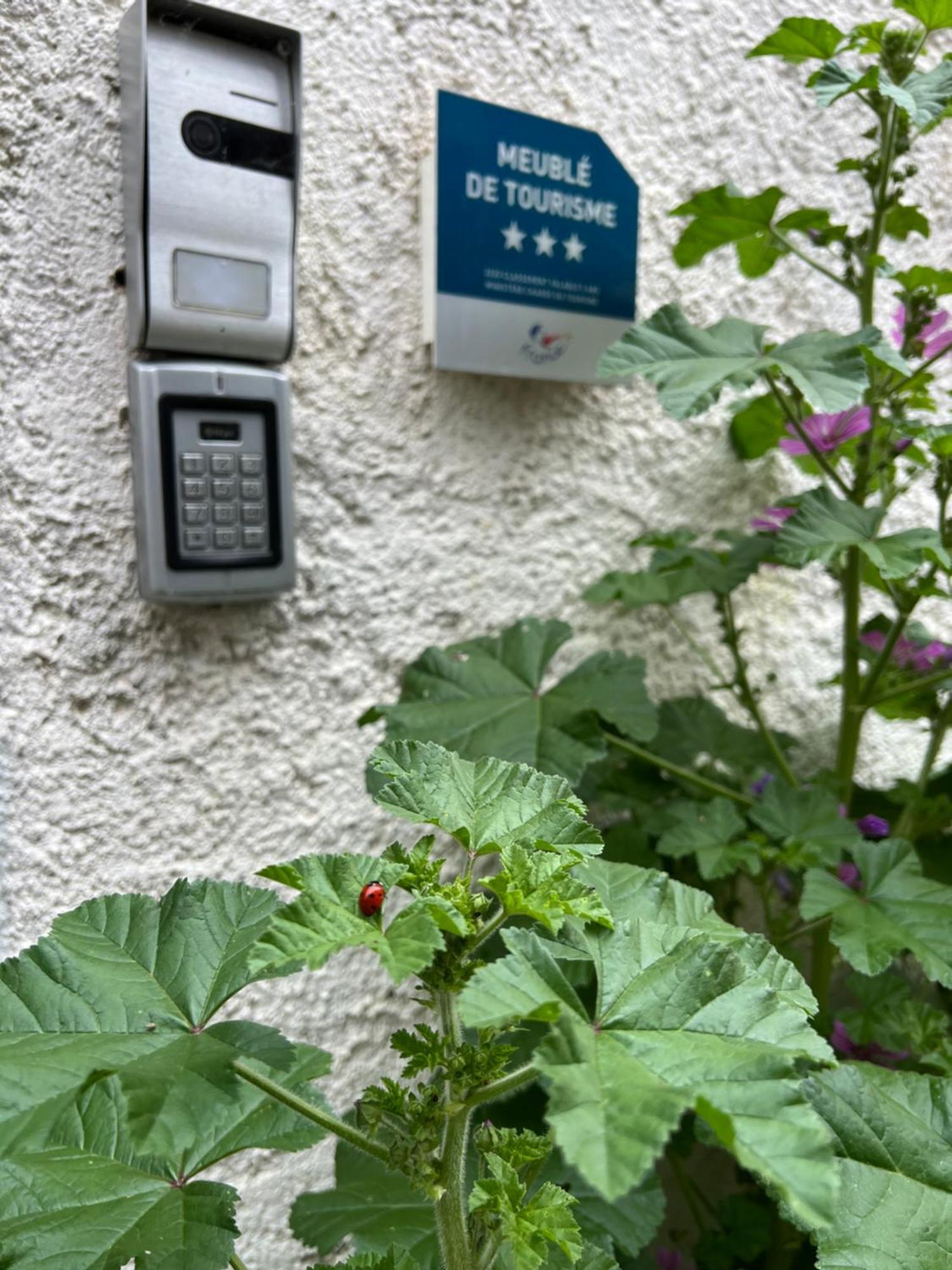 Gite Du Figuier 4 A 6 Personnes Selestat Centre-Alsace Exteriér fotografie
