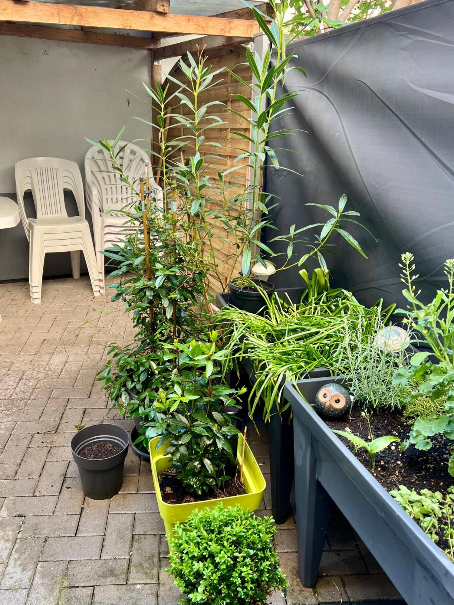 Gite Du Figuier 4 A 6 Personnes Selestat Centre-Alsace Exteriér fotografie