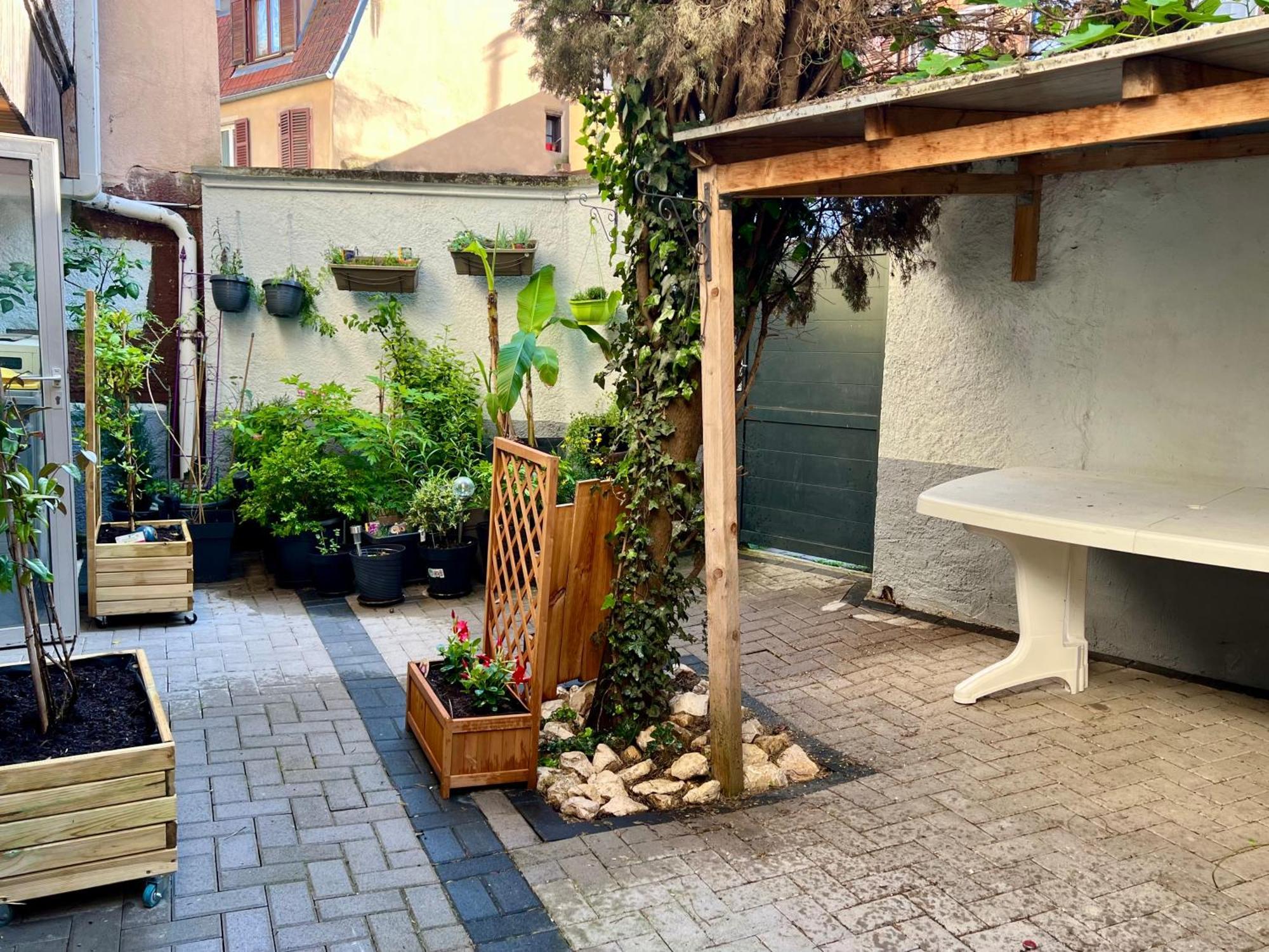 Gite Du Figuier 4 A 6 Personnes Selestat Centre-Alsace Exteriér fotografie