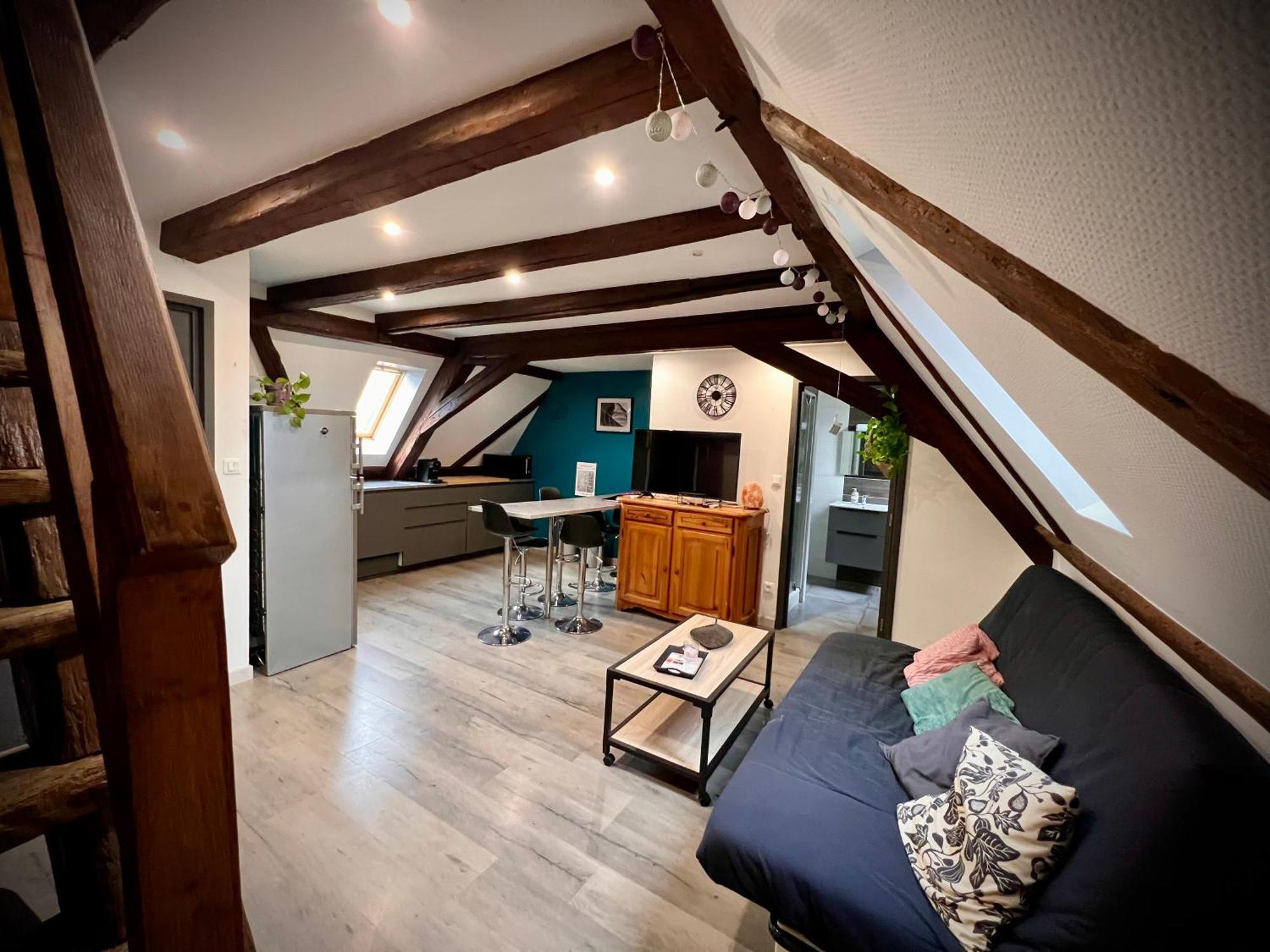 Gite Du Figuier 4 A 6 Personnes Selestat Centre-Alsace Exteriér fotografie
