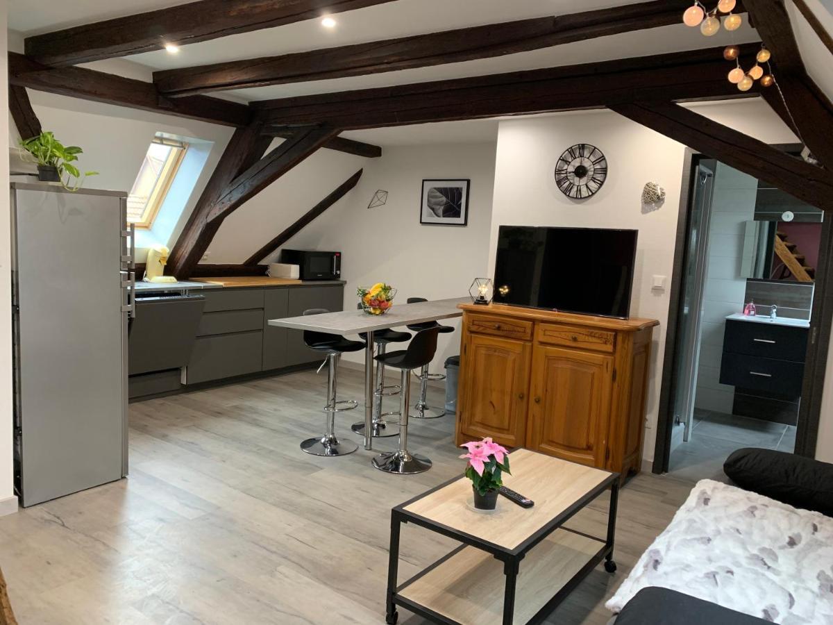 Gite Du Figuier 4 A 6 Personnes Selestat Centre-Alsace Exteriér fotografie